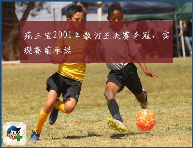 苑玉宝2001年散打王决赛夺冠，实现赛前承诺