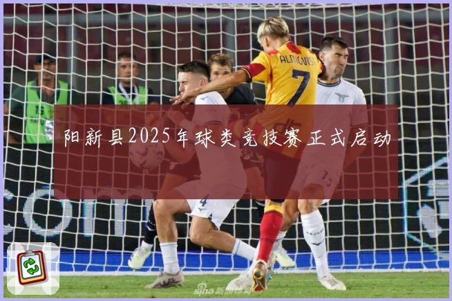 阳新县2025年球类竞技赛正式启动