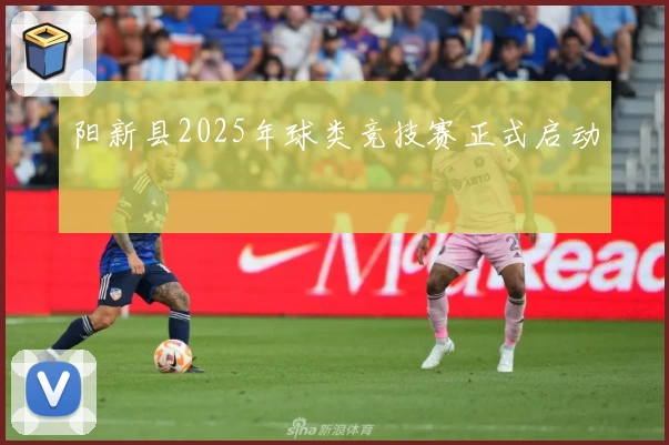 阳新县2025年球类竞技赛正式启动